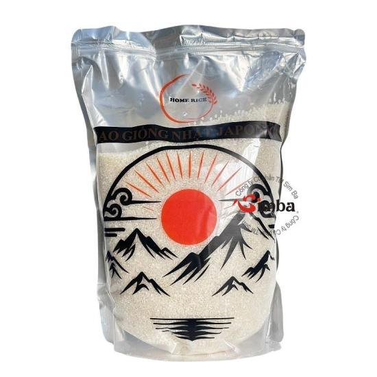 GẠO GIỐNG NHẬT ( JAPONICA )